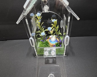 Jumping Spider Enclosure