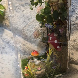 Puede incluir: Una escena de terrario en miniatura dentro de un recipiente de pl&aacute;stico transparente. La escena incluye un estanque con un pato, setas y varias plantas. Las setas tienen sombreros rojos con puntos blancos.