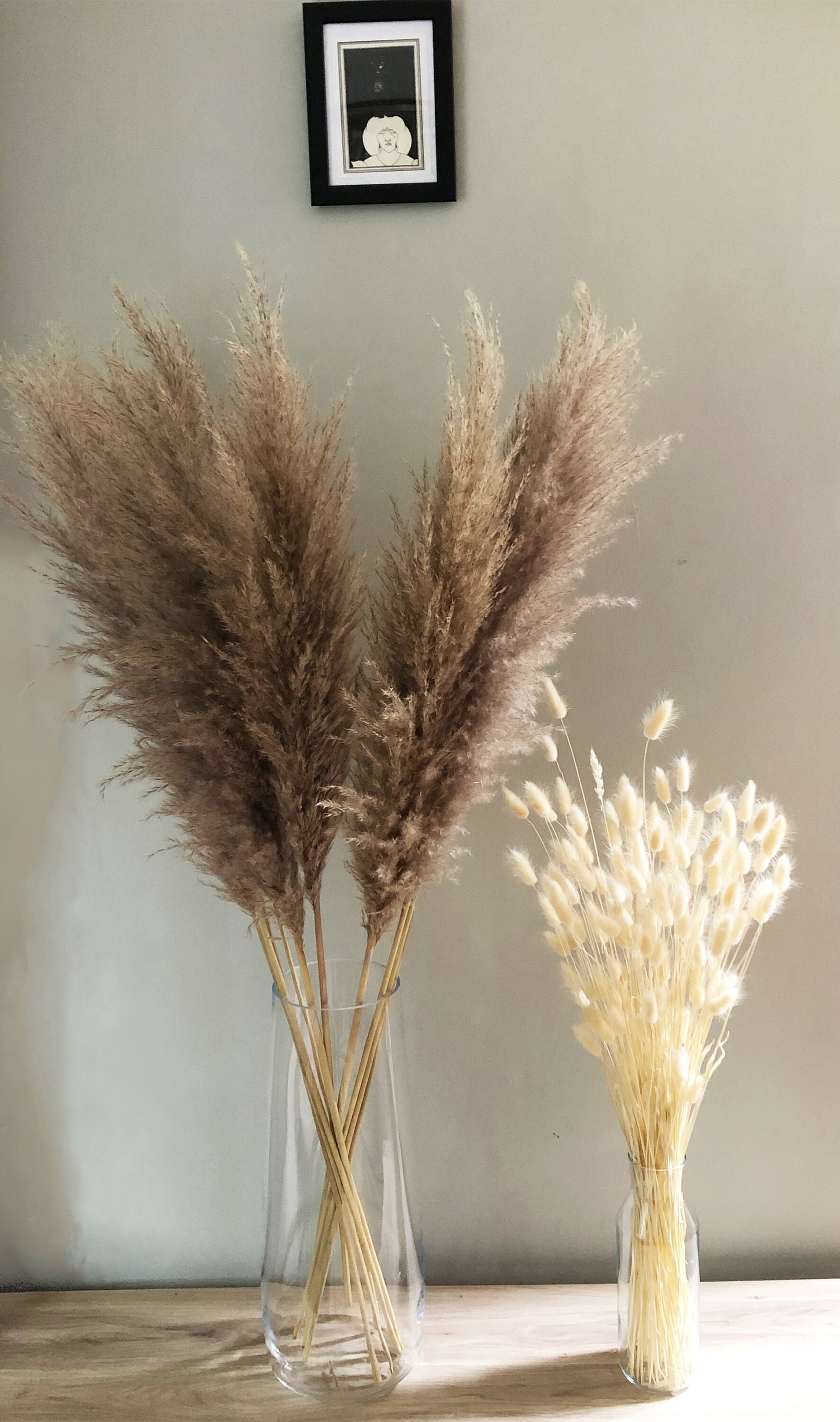Tall Fluffy Pampas Grass Natural 120cm Etsy