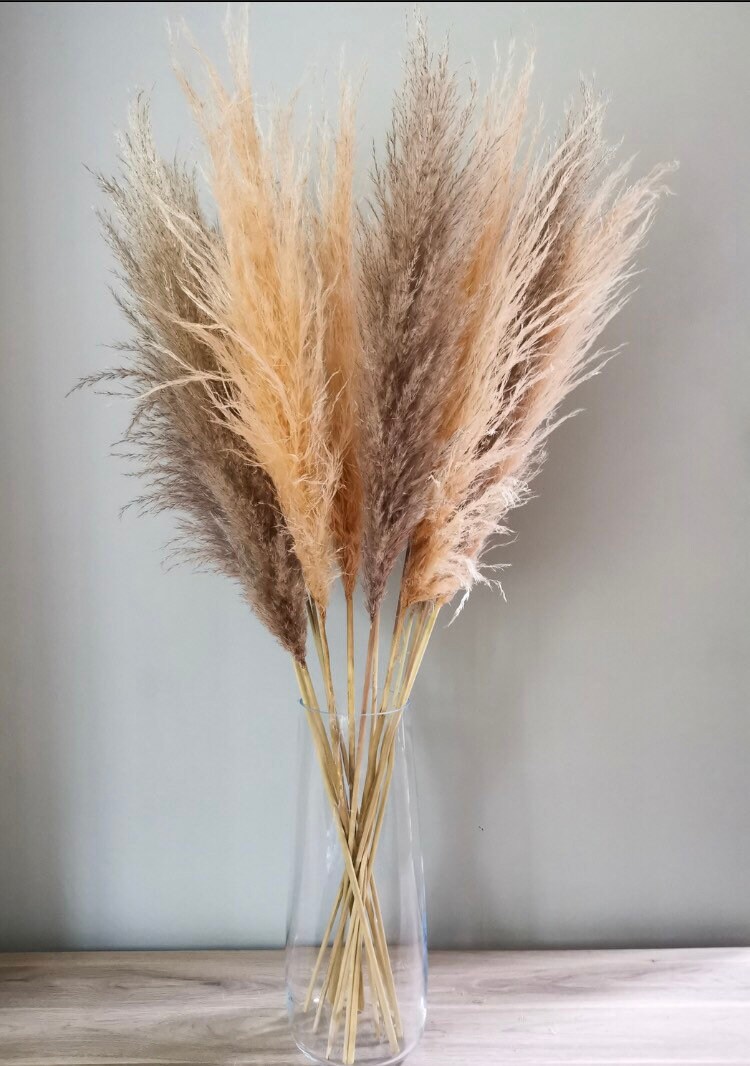 Tall Fluffy Pampas Grass Natural 120cm Etsy