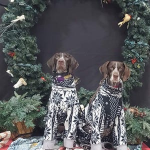 Dog Pajamas