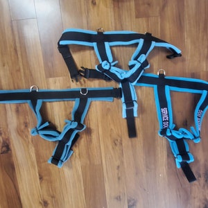 Y-Front dog Harness