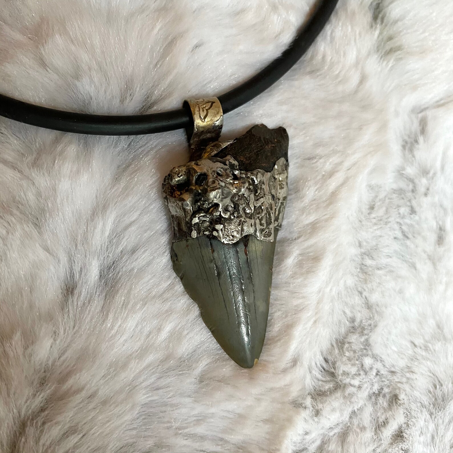 Authentic Shark Tooth Necklace w/ Hand Gilded Designs Etsy