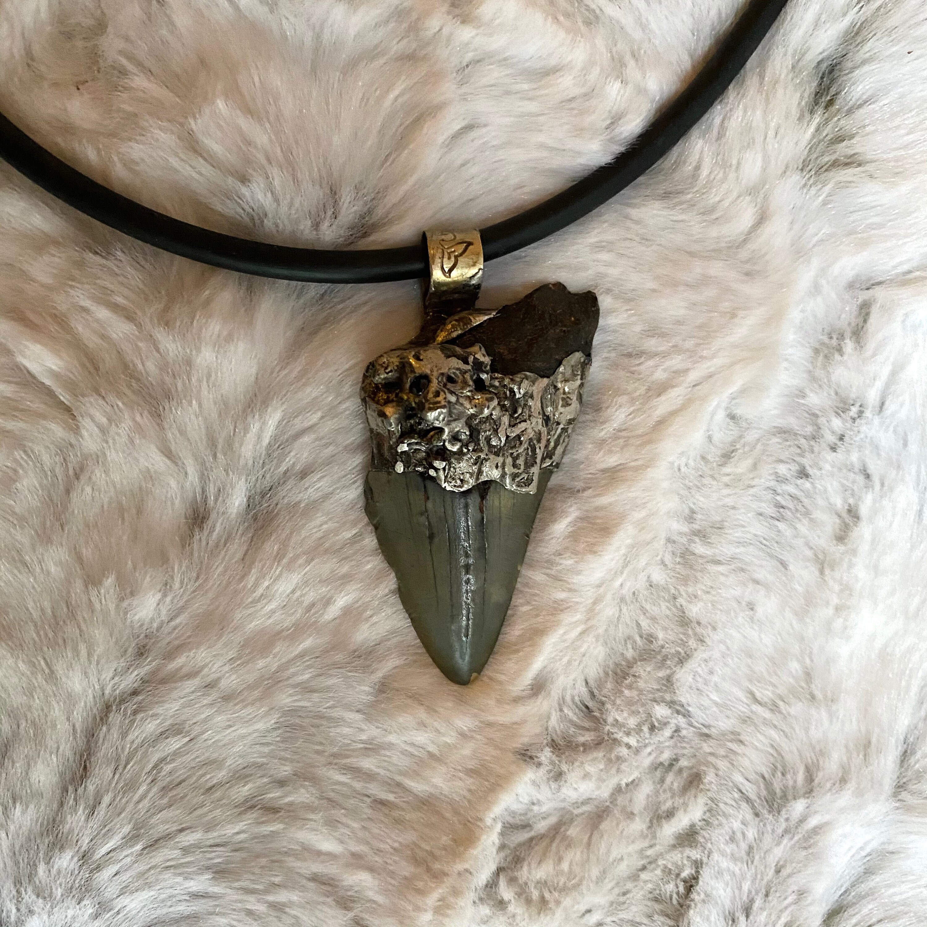 Authentic Shark Tooth Necklace w/ Hand Gilded Designs Etsy
