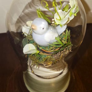 Vintage Ceramic Bird in Glass Cloche Dome Charming Spring Decor