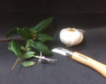 Opinel Chestnut/Garlic/Soft Fruit knife. A Christmas fireside delight. 4cm. stainless steel blade