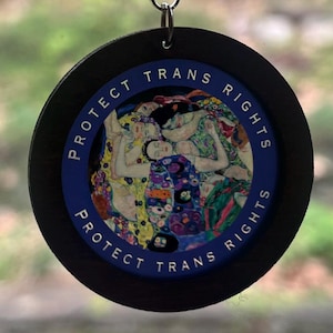 Earrings, &quot;protect trans rights&quot; liberal democratic statement jewelry for protest anti-Trump fight back for human rights dangle earrings