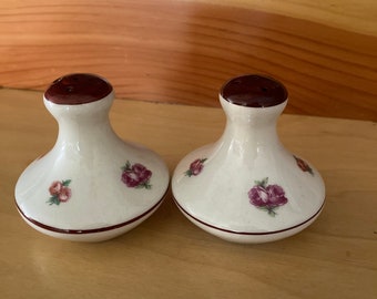 Very Rare Unique Beautiful Ceramic Round Salt and Pepper Shakers - Vintage