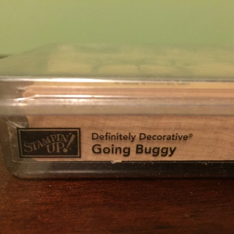 Stampin/' Up Going Buggy Definitely Decorative Stamp Set