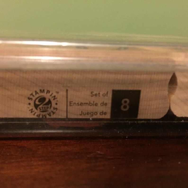 Stampin/' Up Going Buggy Definitely Decorative Stamp Set