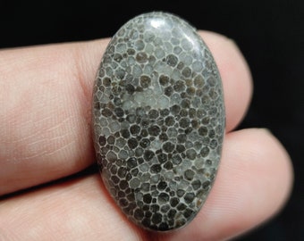 43x27x6 MM Oval Cabochon 55 CTS Beautiful Scenic Cabochons Black Fossil Coral #A-516