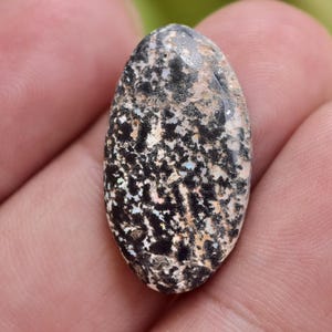 Natural Mexican Leopard Opal Cabochon | Rare Mexican Opal Gemstone | Handmade Jewelry Stone .. 15 ct... 28x16x5 mm