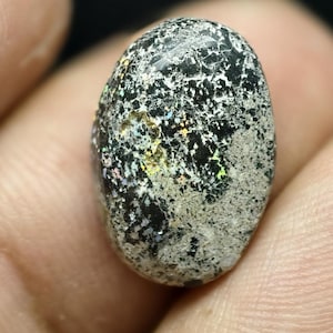 May include: An oval-shaped cabochon gemstone featuring a mottled surface with a mix of black, grey, and white speckled patterns. The stone displays small, iridescent flashes of color throughout its textured, polished surface.