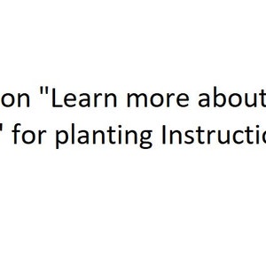 Peut inclure: Texte sur fond blanc qui indique "Cliquez sur "En savoir plus sur cet article" pour les instructions de plantation"