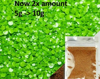 Large Leaf Seeds . Aquarium plant