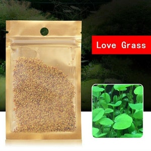 Aquarium Love Grass Seeds: Easy Carpet Plant (5g, USA Shipped