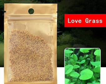 Aquarium Grass Seeds (Love Grass) Aquarium plant  5g
