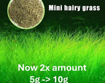 Aquarium Grass Seeds (Small Cow Hair Grass) Aquarium plant
