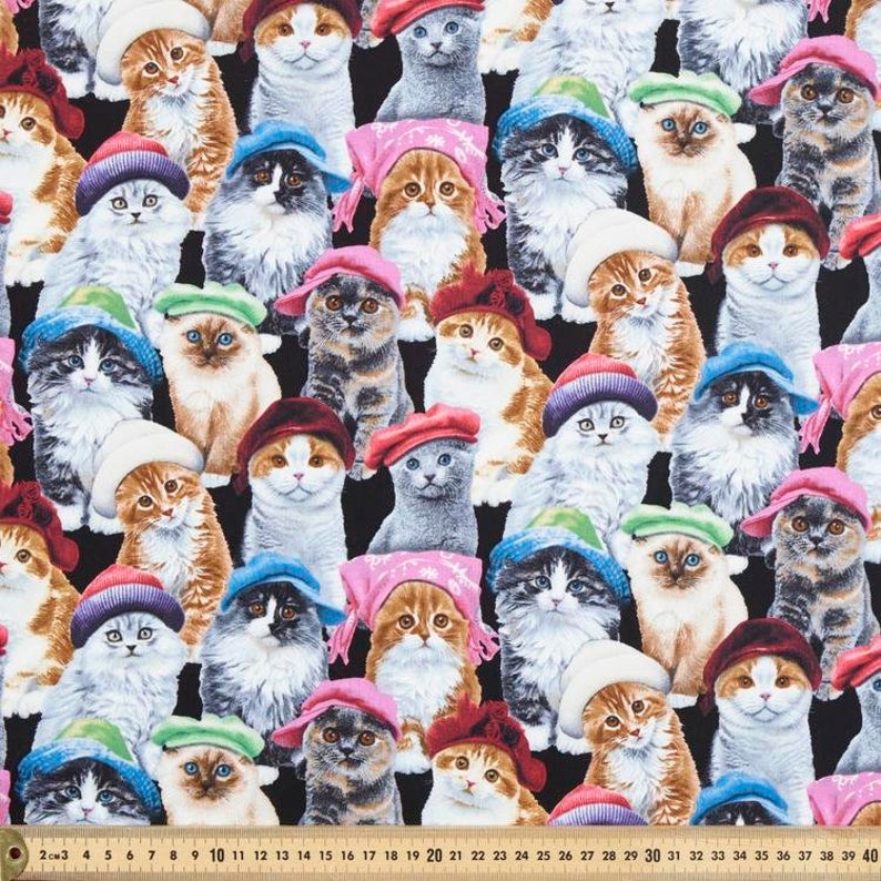 Cats Wearing Hats 3D Face Masks /made in Australia Origami Etsy Australia