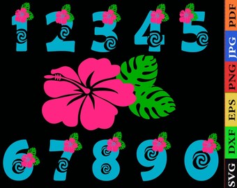 Moana numbers svg, moana svg, moana font svg, birthday girl, svg file for cricut, cutting file, silhouette, princess moana svg