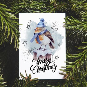 Postkarte Weihnachten - Frohe Weihnachten - Rotkehlchen - Frohe Weihnachten