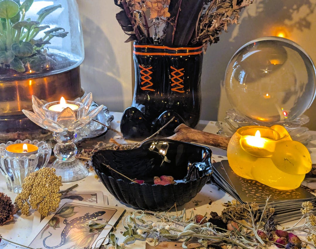 Witchery Shell Little Witch Shell Shaped Ritual Dish - Etsy