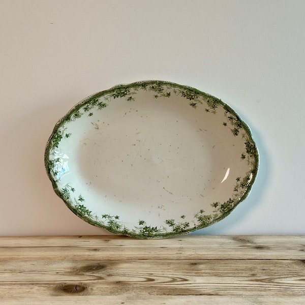 Antique white ironstone platter with green floral transferware and embossed designs, ''Ivy", New Wharf Pottery, England, late 1800s