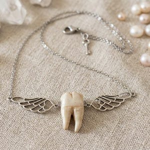 Puede incluir: Un collar de tono plateado con un colgante central en forma de diente color blanco hueso, flanqueado por dos alas metálicas caladas simétricas. La cadena es fina y metálica, con cierre de mosquetón y un pequeño dije en forma de llave.