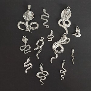May include: A collection of 12 silver snake charms, each with a unique design. The charms are ideal for jewellery making, scrapbooking, or other craft projects.