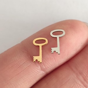 Pode incluir: Dois pequenos pingentes de chave, um dourado e outro prateado, são mostrados em um dedo. Os pingentes são simples e delicados.