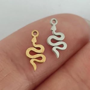 May include: Two snake charms, one gold and one silver, are shown on a finger. The charms are cut-out shapes of a snake with a loop at the top for attaching to a chain or bracelet.