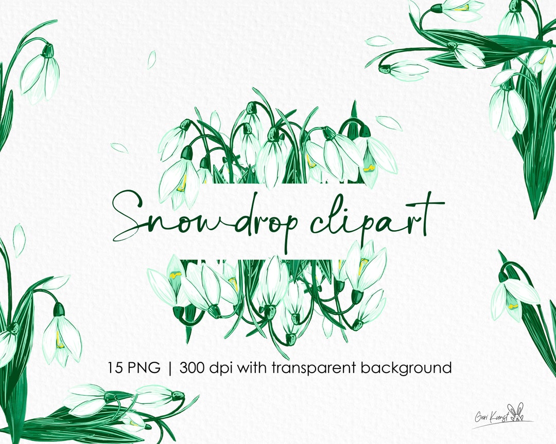 Snowdrop Clipart | Spring Flowers Clipart | White Snowdrops for Spring ...