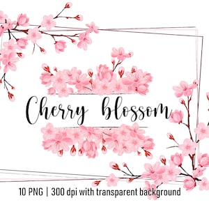 Kirschblüte Blume png Sakura Grafik Illustration Clip Art botanische Frühling Ostern Sakura Blumen Clipart Kirschblüten Bouquet, Kischezweig