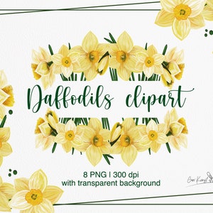 Peint à la main jonquilles Clip Art jonquille PNG cadre couronne jonquille numérique Bouquet jonquille cadeau carte postale jonquille Design