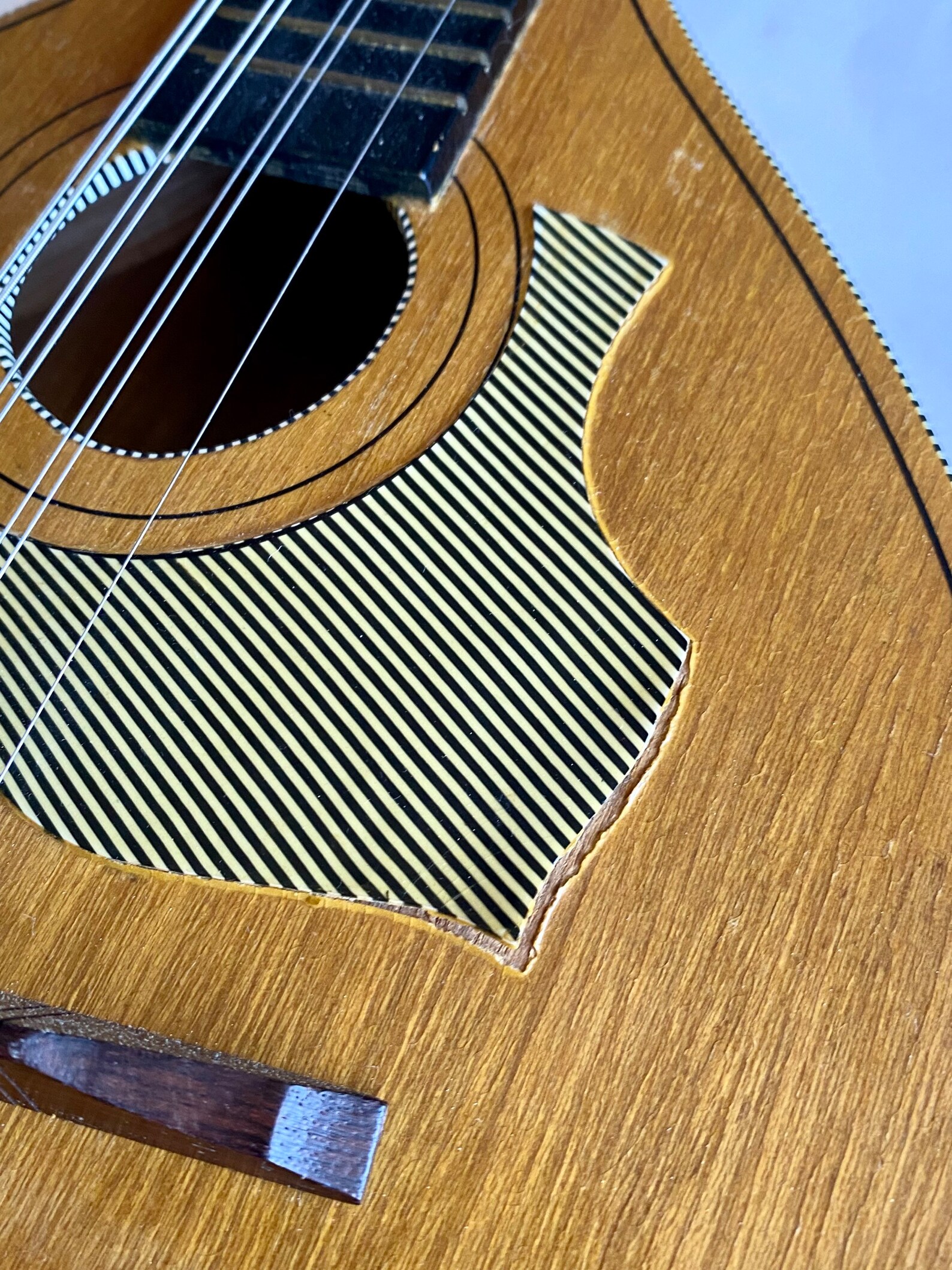 Vintage B&J Serenader Mandolin W/ Strings, Vintage Mandolin String