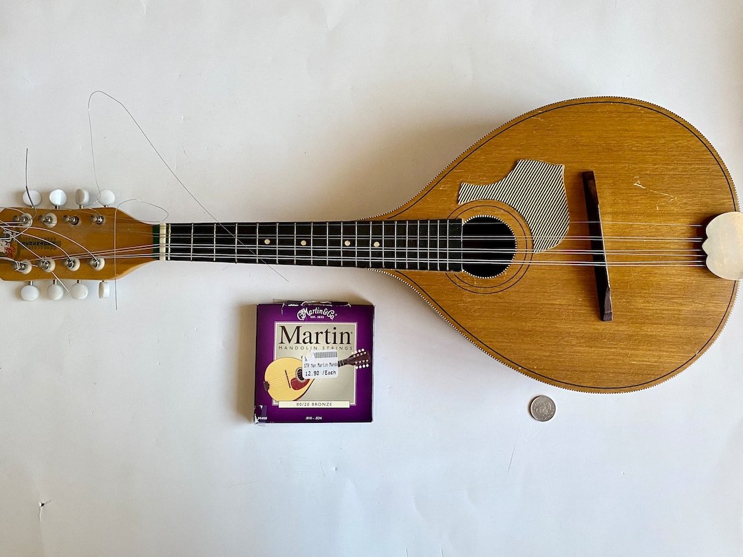 Vintage B&J Serenader Mandolin W/ Strings, Vintage Mandolin String