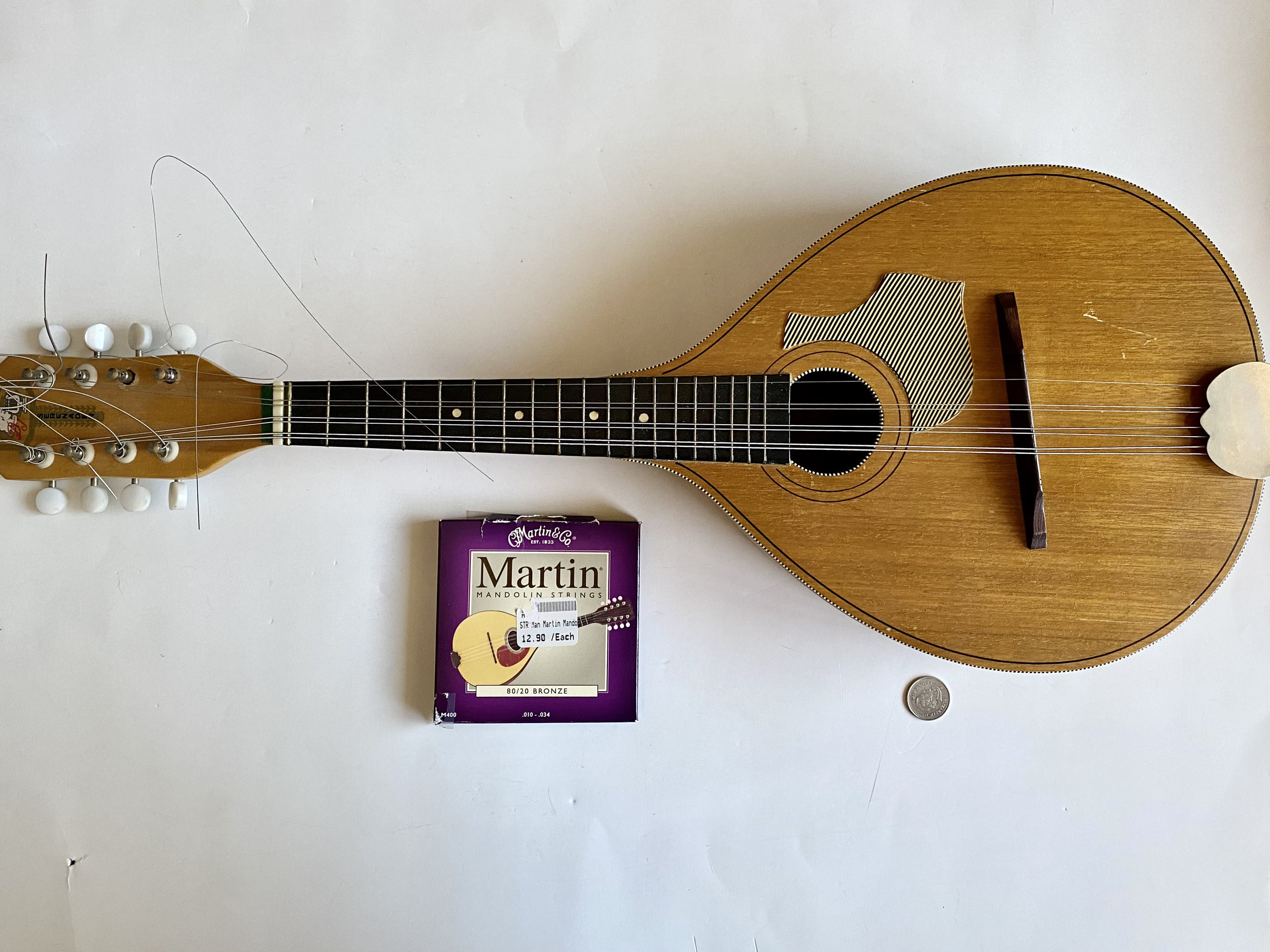 8 String Mandolin - Etsy