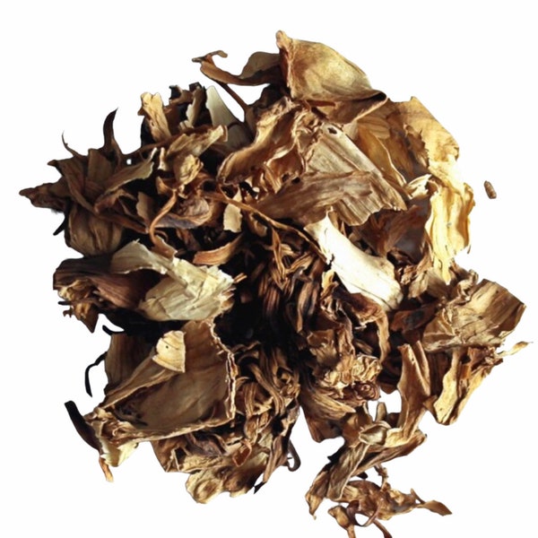 White Lotus / Organic Dried White Lotus Petals / Nymphaea Ampla