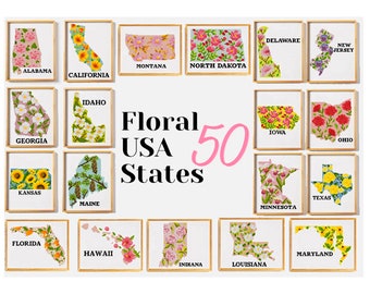 Conjunto de 50 patrones de punto de cruz contados Estados de América conjunto fácil gráfico de punto de cruz silueta de flores Formato Digital - PDF