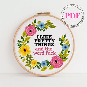 Grappig geteld kruissteekpatroon subversief kruissteekpatroon eenvoudige kruissteekkaart Digitaal formaat - pdf