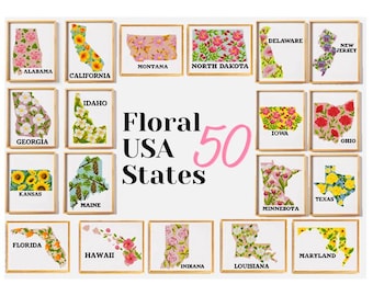 アメリカ50州のクロスステッチパターンを詰め込んだ豪華セット - 全て