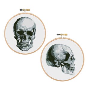 Set van 2 anatomische schedel kruissteekpatroon pdf anatomie kruissteek modern borduurpatroon wetenschap kruissteek digitaal formaat - pdf