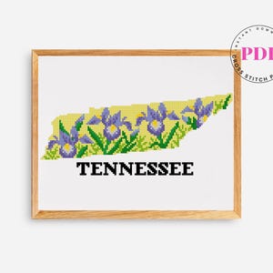May include: Cross-stitch pattern of the state of Tennessee, featuring a yellow background with purple iris flowers and green foliage. The word "TENNESSEE" is stitched in black block letters. The image is framed in a light brown wooden frame.