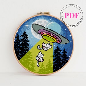 UFO-kruissteekpatroon eenvoudig geteld kruissteekpatroon kat kruissteekpatroon borduurontwerp Digitaal formaat - pdf