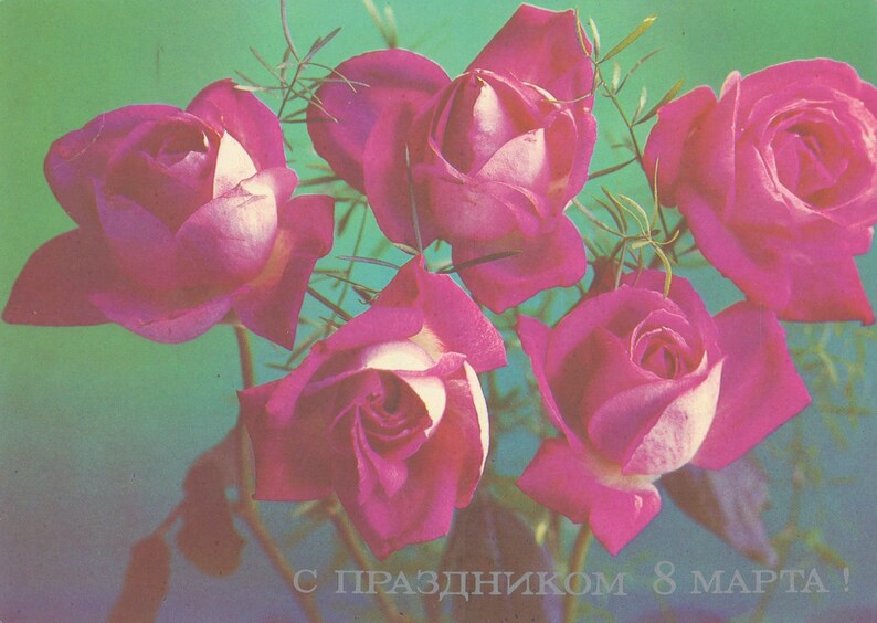 USSR 1987 Soviet Union Vintage Postcard Photo art Pink roses on a postcard