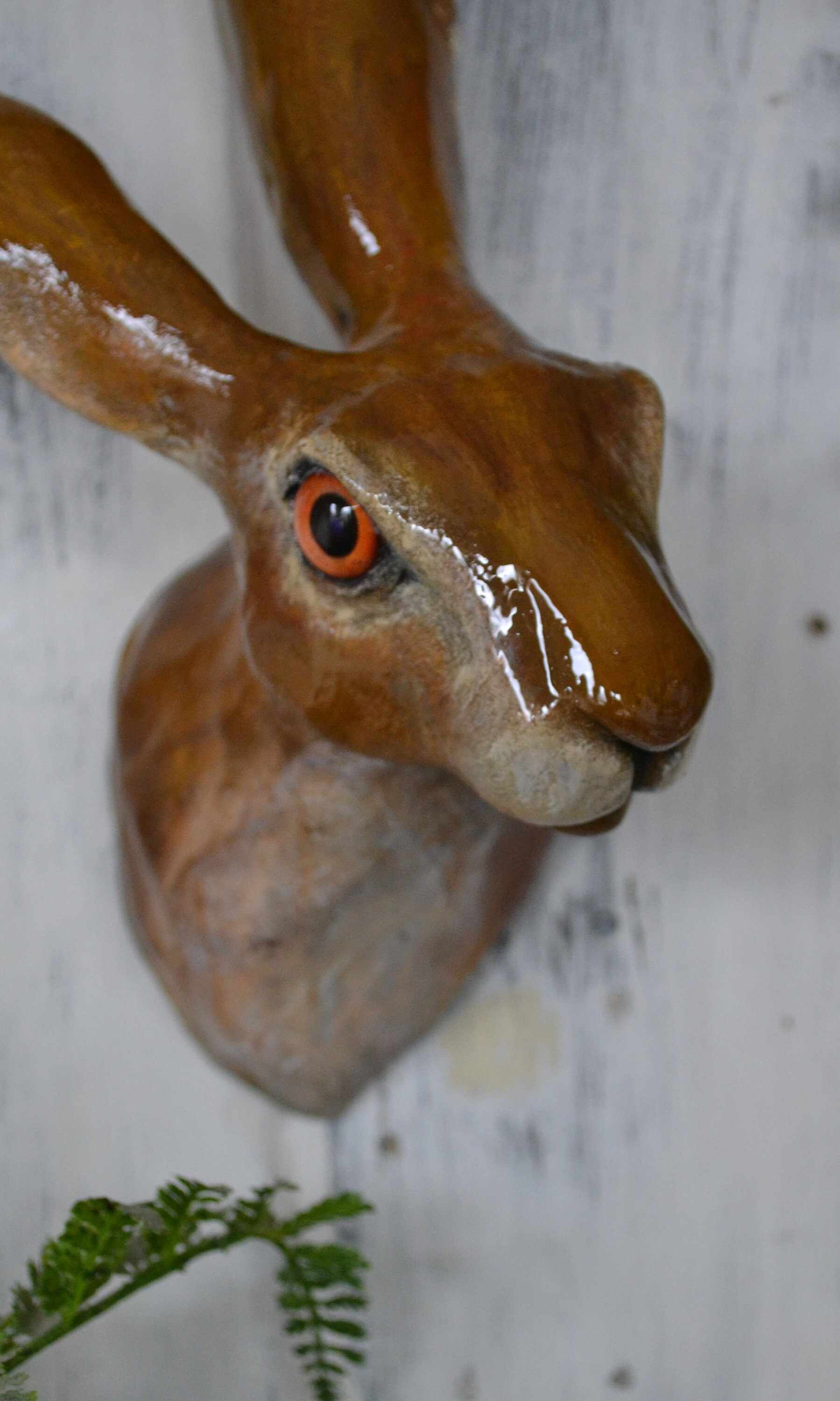 Hare head rabbit head sculpture wall mounted mixed media Etsy
