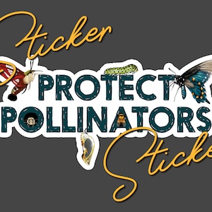 Protect Pollinators Sticker - Moth, Butterfly, Caterpillar, Chrysalis, Bumblebee Decoration for Laptops, Water Bottles, Windows