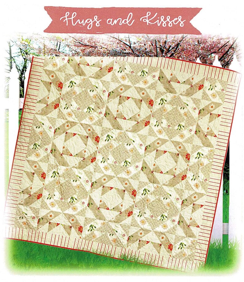 Hugs and Kisses Quilt Kit Sherri & Chelsi Quilt Factory Etsy