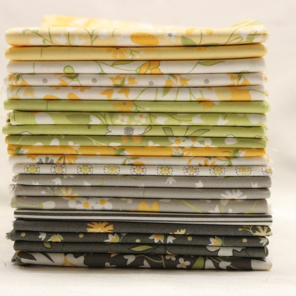 Buttercup & Slate by Corey Yoder for Moda, fat quarter bundle, 100% cotton, store cut and bundled, new, (20) 18" x 22" fabrics, coordinates