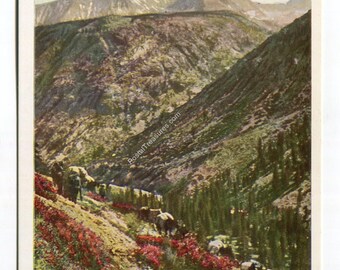 May include: Vintage postcard depicting a scenic view of Kern Canyon near Porterville, California. The image showcases a mountainous landscape with a valley, lush greenery, and vibrant red flowers. The sky is a clear blue, and the postcard has a classic aesthetic.